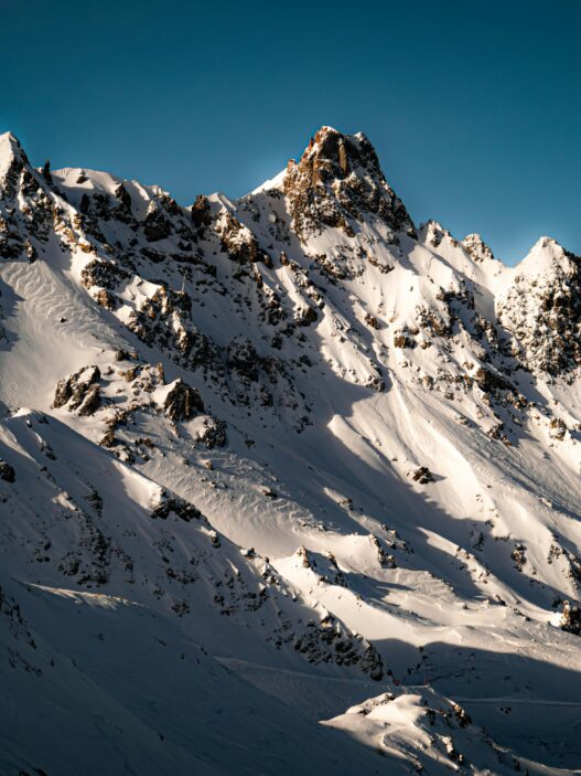 WEF Davos 2024