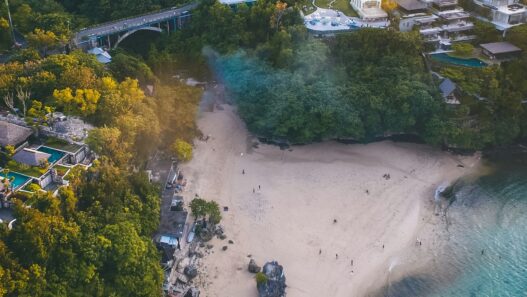 a beach with houses and trees