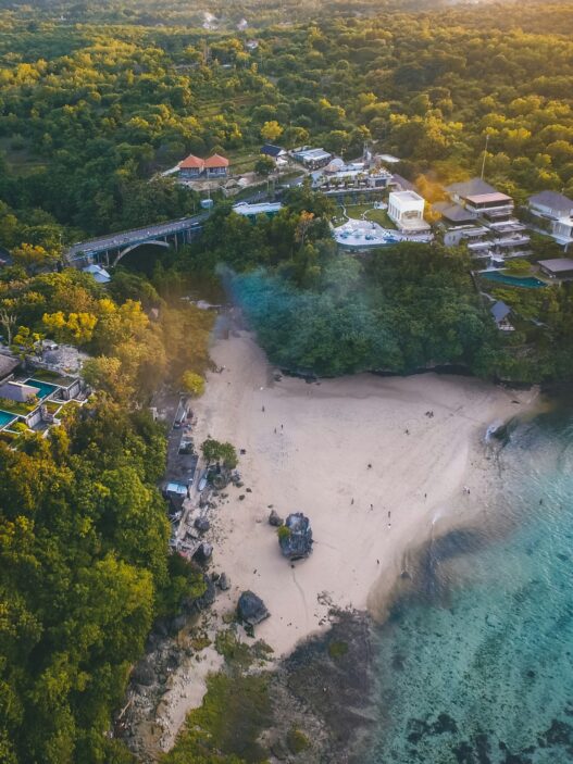 a beach with houses and trees