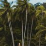 Can Luxury Travel Be Sustainable? 7 Eco-Elite Destinations for 2025