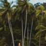 Can Luxury Travel Be Sustainable? 7 Eco-Elite Destinations for 2025