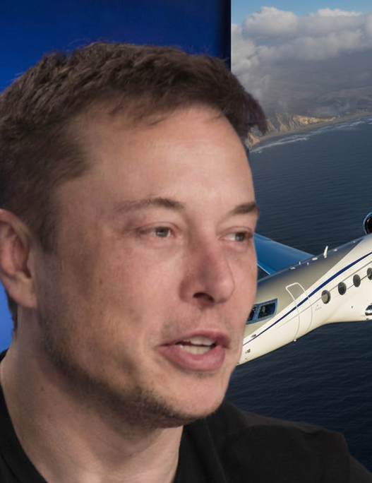 Elon Musk private jet Gulfstream G650ER ultra-long-range business aviation luxury aircraft celebrity jet 2026